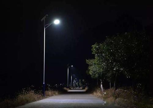 诡异的故事 两个和狼有关的真实故事