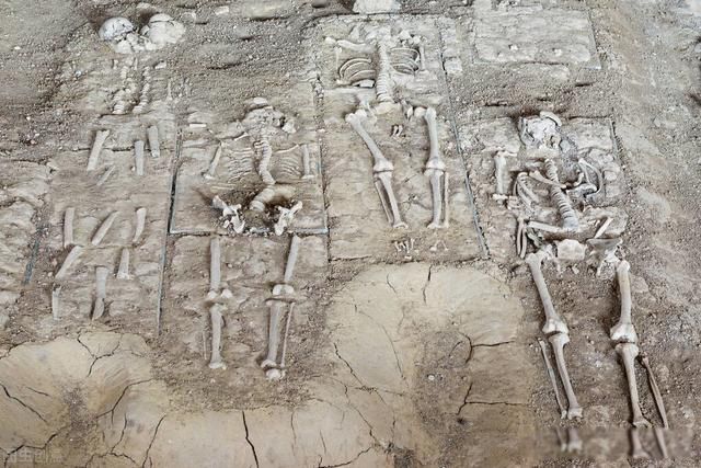 ѳ����ʲô��˼ ѳ��֮�����غ��Ժ���������