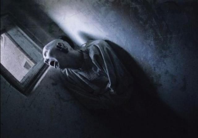 ѳ����ʲô��˼ ѳ��֮�����غ��Ժ���������