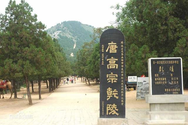 �����ĵ�����ʮ������ Ϊʲô�ҵ����Ƴ�����