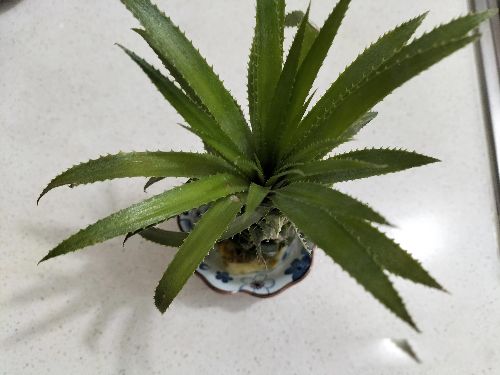 ����һ��������� �������塱û�ж���ϵ