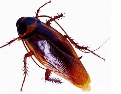 �����ô������ɾ����׵ķ��� �ú����ղ���ˮɱ��