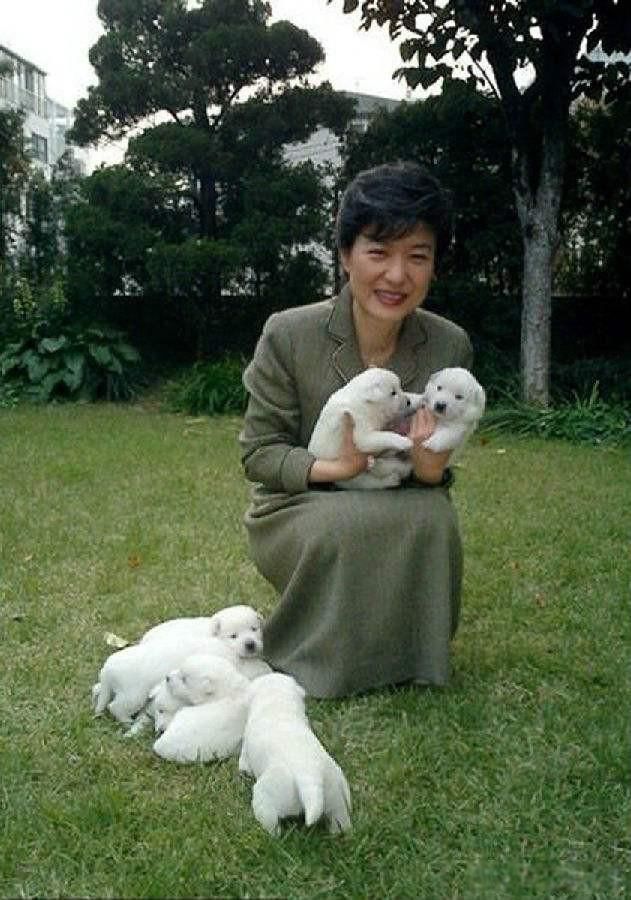 ������ͳΪʲôû��һ�����³� ԭ����Ҫ�����¼���