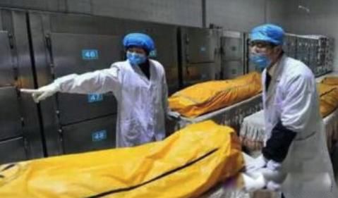 ���ǹ�̧ʬ����Ƹ������� ̧ʬ����н�ܸ�