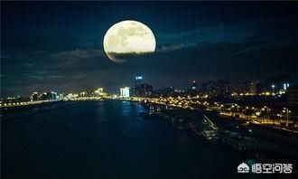 月亮与六便士讲的什么故事 这样的选择你会错愕吗