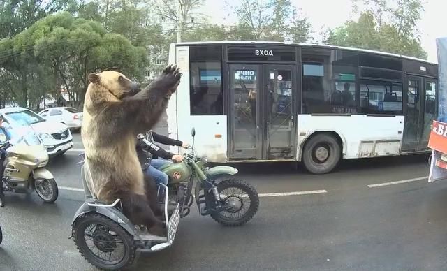 俄罗斯为什么叫战斗民族 做事能动手就不动嘴