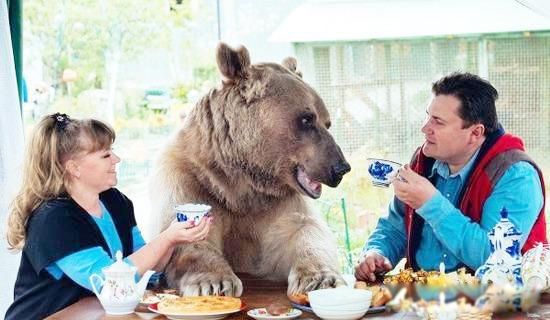 俄罗斯为什么叫战斗民族 做事能动手就不动嘴