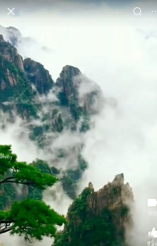 �豦��ʲô��˼ û������ľ��������ж�