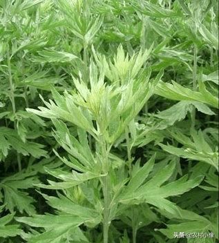 ������Ǽ��¼��� ������ϰ���кβ�ͬ