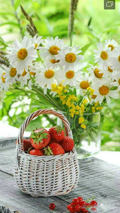 ��Ȥ����������һ,�ÿ���Ƥ��ǧƪһ��ʲô��˼ ���ǲ�Ҫ��òȡ��