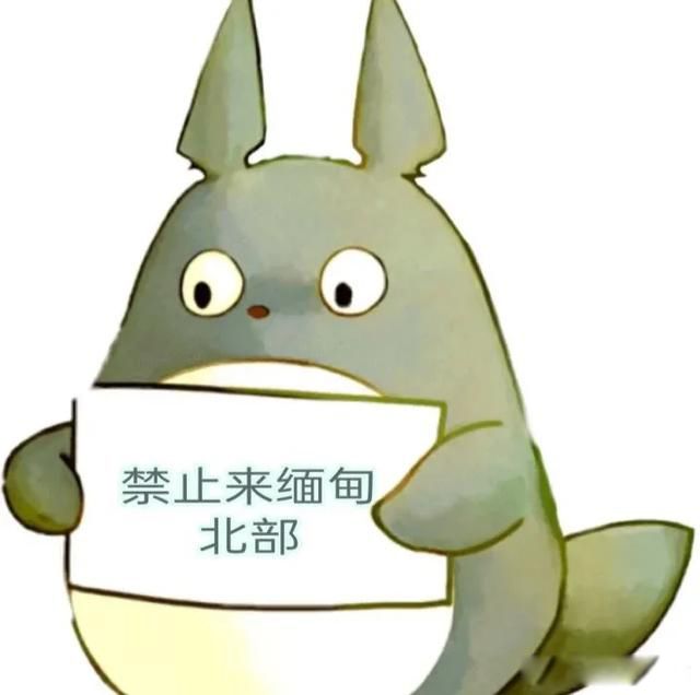��鱱���ֲ�Ѫ����Ƶ��ô���� �山�����ͷε����ش�