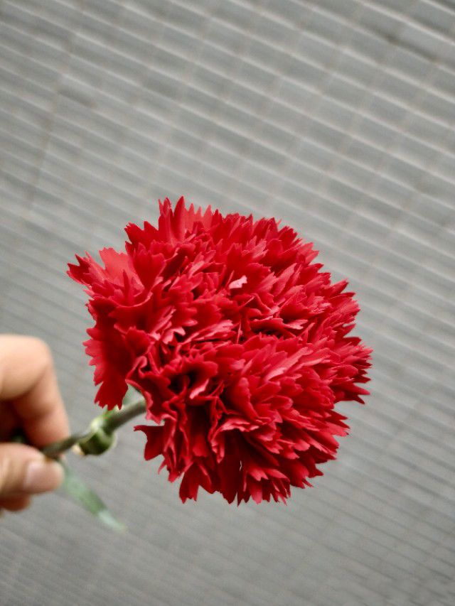 ɥżʽ����ʲô��˼ ������黹Ҫ��ĥ��