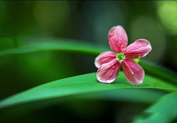 ������˶�ȥ���������� ������������