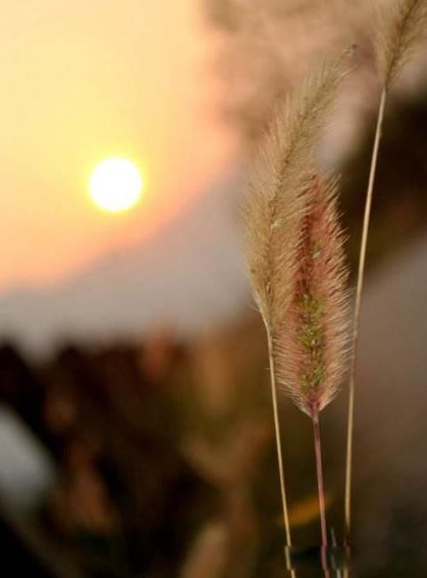 ������˶�ȥ���������� ������������