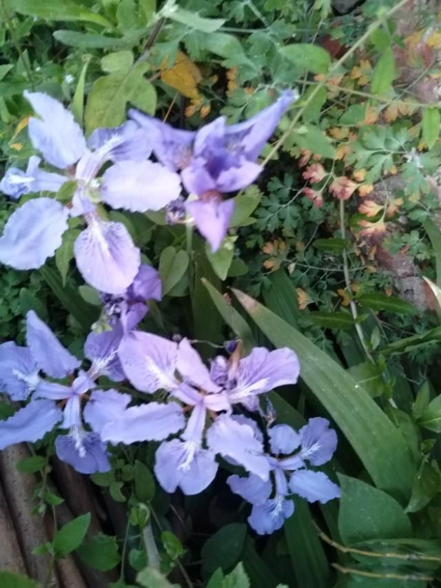 ������˶�ȥ���������� ������������