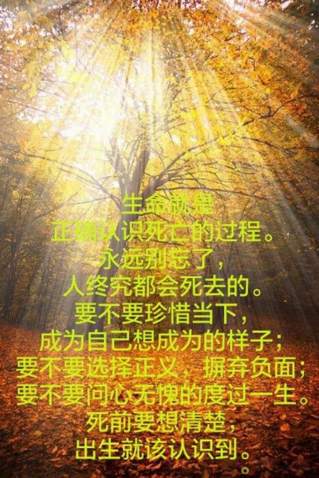 ������˶�ȥ���������� ������������