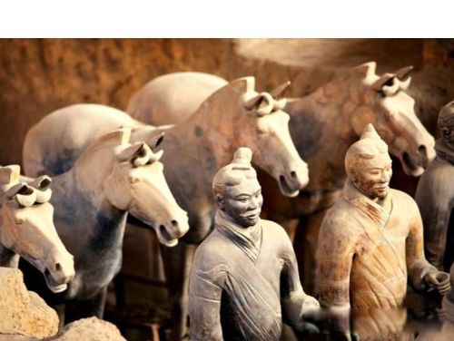 ���������� �������߹���������� ���칫������ȿ���