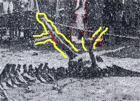 ������������ ������Щ��ʷ����ʵ���ڵ�֤��