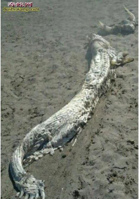 ������������ ������Щ��ʷ����ʵ���ڵ�֤��