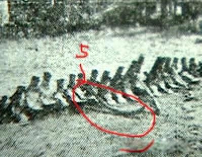 ������������ ������Щ��ʷ����ʵ���ڵ�֤��