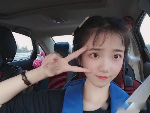 ������ʲô��˼ �����������������Ƶ�