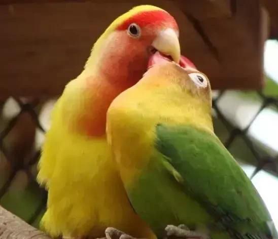 ���˲���Ů�˲�����ʲô��˼ �����˴�඼����ӭ������