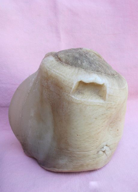 ̫����ʲô���� �ݳ�Ҳ��һζ������ҩ