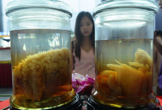 ̫����ʲô���� �ݳ�Ҳ��һζ������ҩ