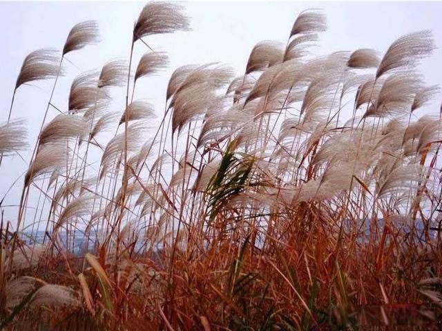 ����֮���ʲô��˼ ��ʷ������ĸ�����