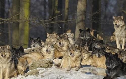 ����һ������������˭ ����㵽���Ϸ���������ͷ��