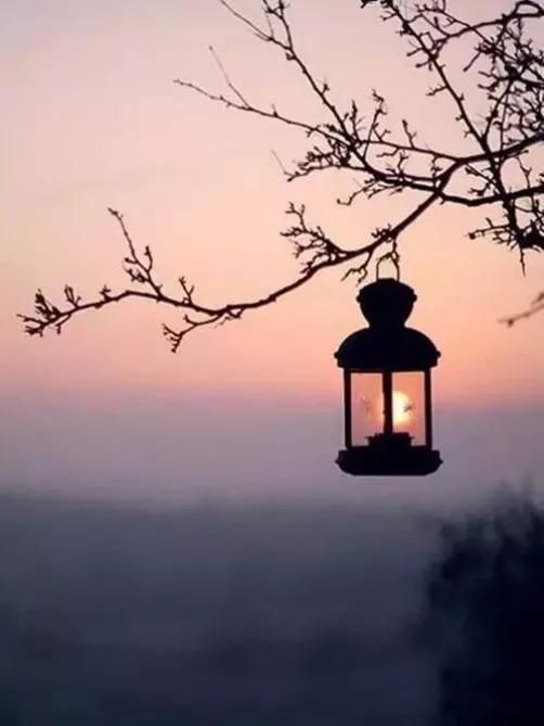 �������ҵ����������� ����˵�����û����������֤��