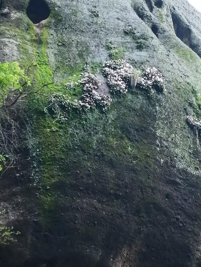 �˵�����ľ��ٸ��� �ܾ��������޷�����