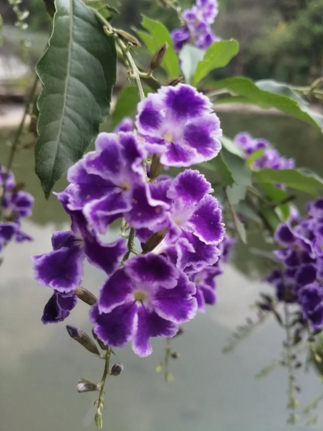 �˵�����ľ��ٸ��� �ܾ��������޷�����