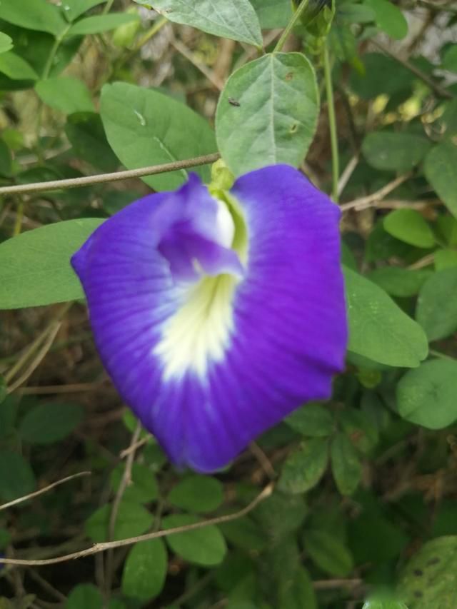 �˵�����ľ��ٸ��� �ܾ��������޷�����