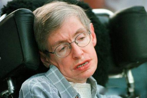 ����Ԥ��2023ɥʬ���� ��û�о���ʲôè����