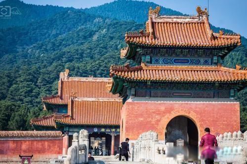 ���Ӣ��ĹʱΪ�ΰǵ�����̫��Ŀ��� ����ʬ���ǳ���