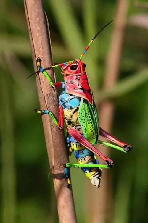 �������й��� ���˵Ĺ����������Զ��׼���