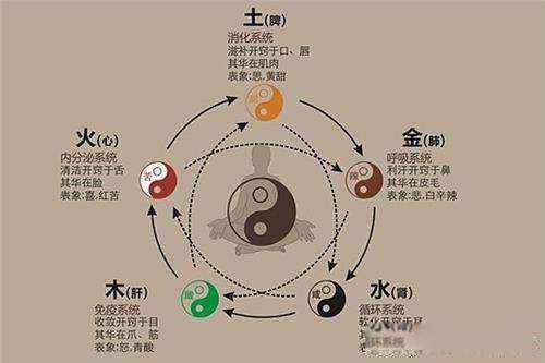 道生一一生二二生三三生万物生是什么意思 正确的答案是