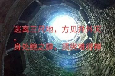 拜金女是什么样的女人 任何社会都是现实的