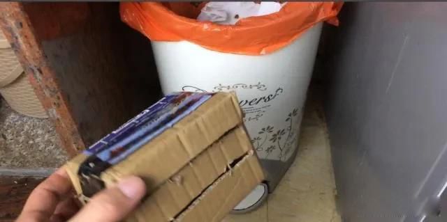 家里有蟑螂怎么办能除根 几个消灭和驱赶蟑螂的小妙招