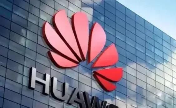 �����ǳ�����ƻ���ֻ� ����ֵ������Ʒ��ѧϰ