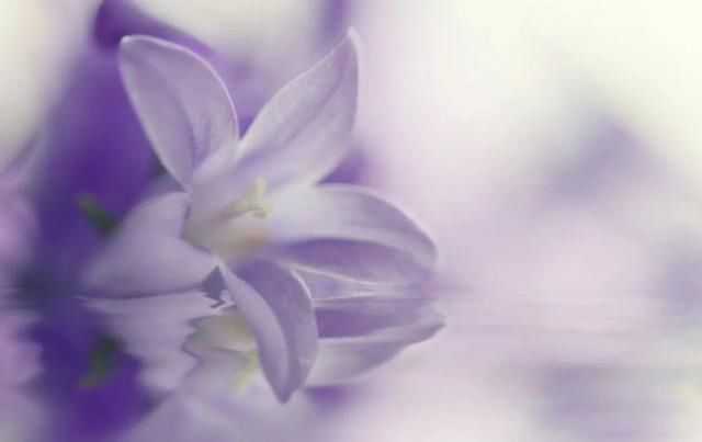 �˵�����ľ��ٸ��� ׷������Ĺ���