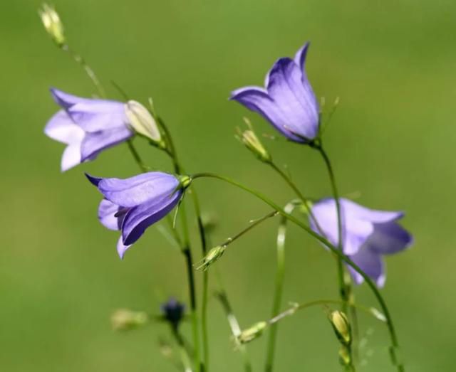 �˵�����ľ��ٸ��� ׷������Ĺ���