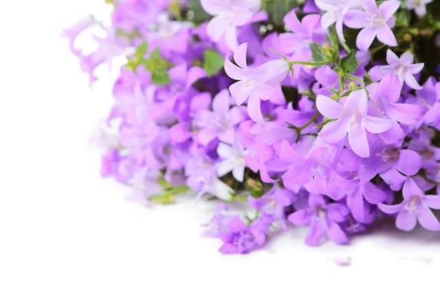 �˵�����ľ��ٸ��� ׷������Ĺ���