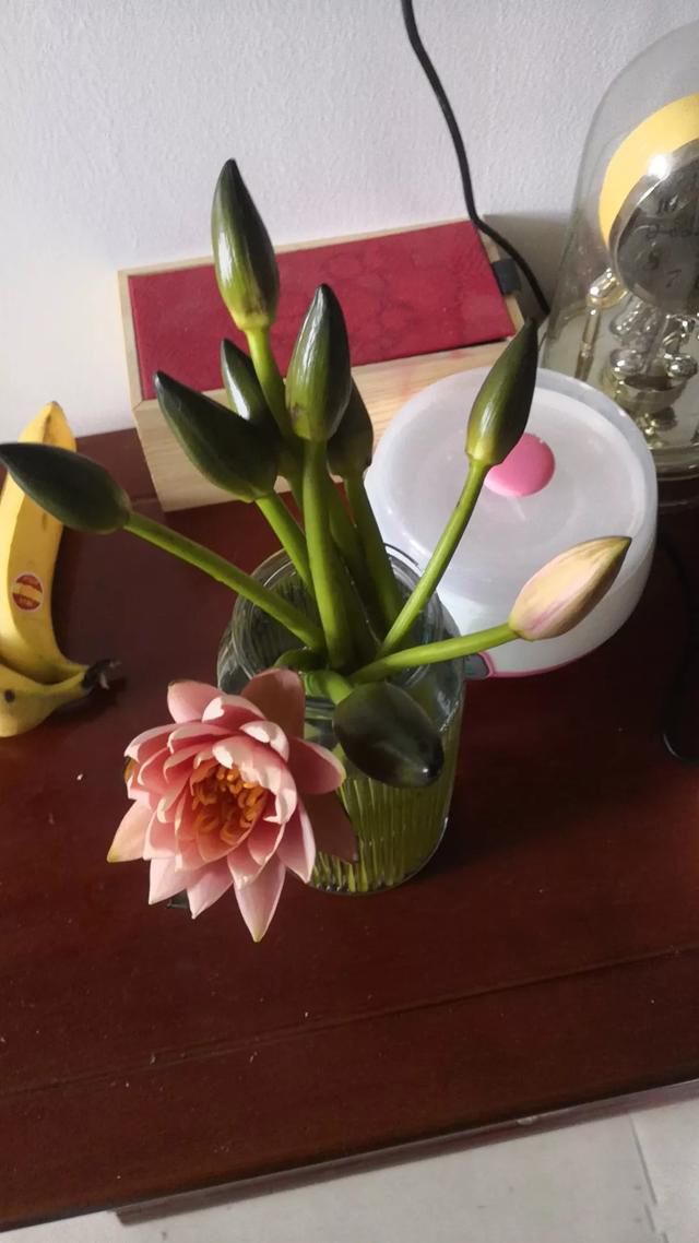 �˵�����ľ��ٸ��� ׷������Ĺ���