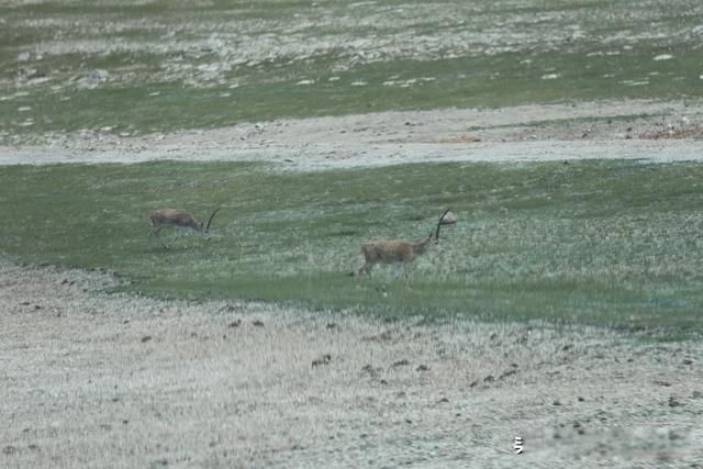 �����Լ���·����ϸ���� ��һ���ߴ�����