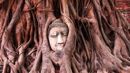 ̩�����ι��Ա�ȥ���� ֵ��һȥ�ľ���ܶ�