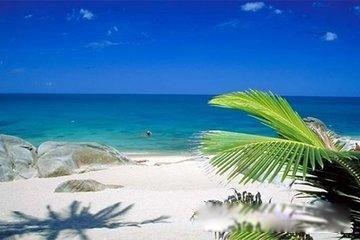 ̩�����ι��Ա�ȥ���� ֵ��һȥ�ľ���ܶ�