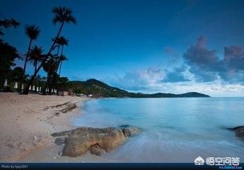 ̩�����ι��Ա�ȥ���� ֵ��һȥ�ľ���ܶ�