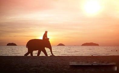 ̩�����ι��Ա�ȥ���� ֵ��һȥ�ľ���ܶ�